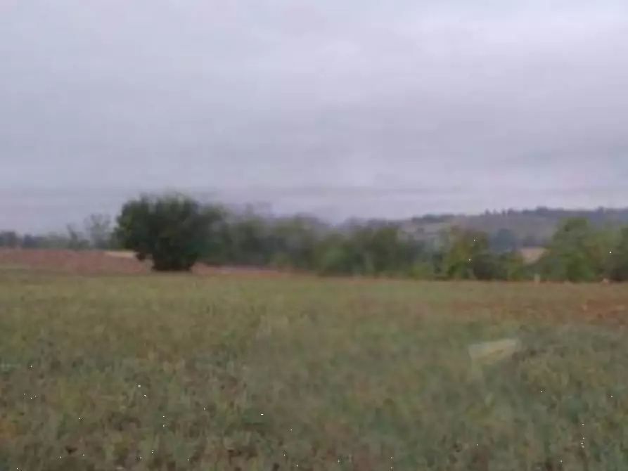 Immagine 1 di Terreno edificabile in vendita  in Strada Vicinale del Castellino a Alessandria