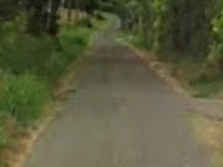 Immagine 5 di Terreno edificabile in vendita  in Strada Vicinale del Castellino a Alessandria