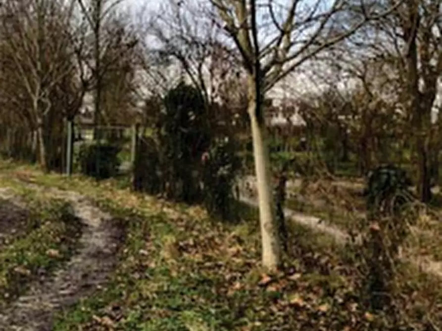 Immagine 12 di Casa indipendente in vendita  in via Graere  a Carbonera