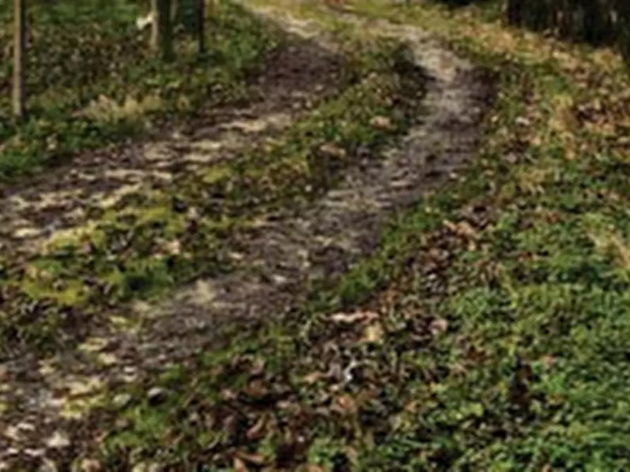 Immagine 13 di Casa indipendente in vendita  in via Graere  a Carbonera