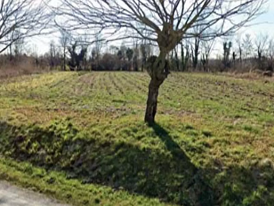 Immagine 16 di Casa indipendente in vendita  in via Graere  a Carbonera