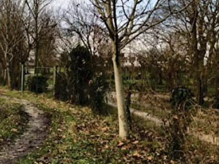 Immagine 19 di Casa indipendente in vendita  in via Graere  a Carbonera