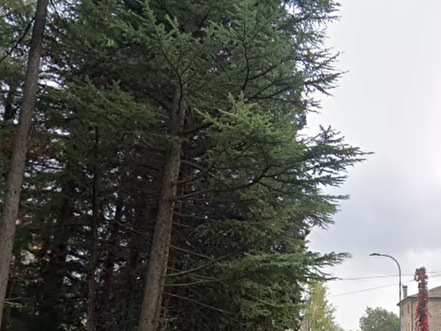 Immagine 8 di Porzione di casa in vendita  in Via Marconi a Pederobba