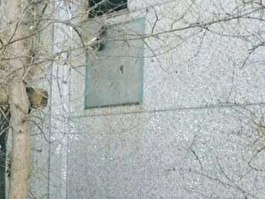 Immagine 10 di Capannone industriale in vendita  in Via della Consolata a Strambino