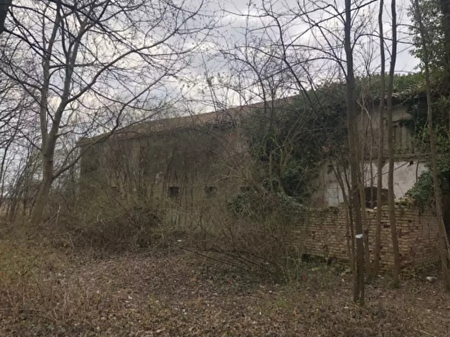 Immagine 2 di Rustico / casale in vendita  in Via comunale postumia di faè a Oderzo