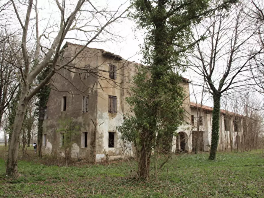 Immagine 4 di Rustico / casale in vendita  in Via comunale postumia di faè a Oderzo