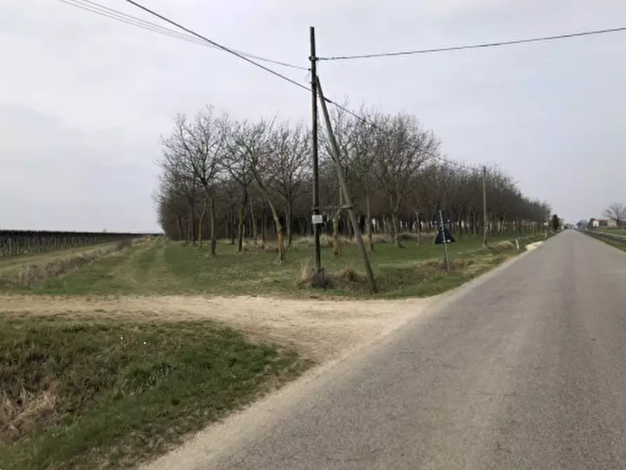 Immagine 8 di Rustico / casale in vendita  in Via comunale postumia di faè a Oderzo