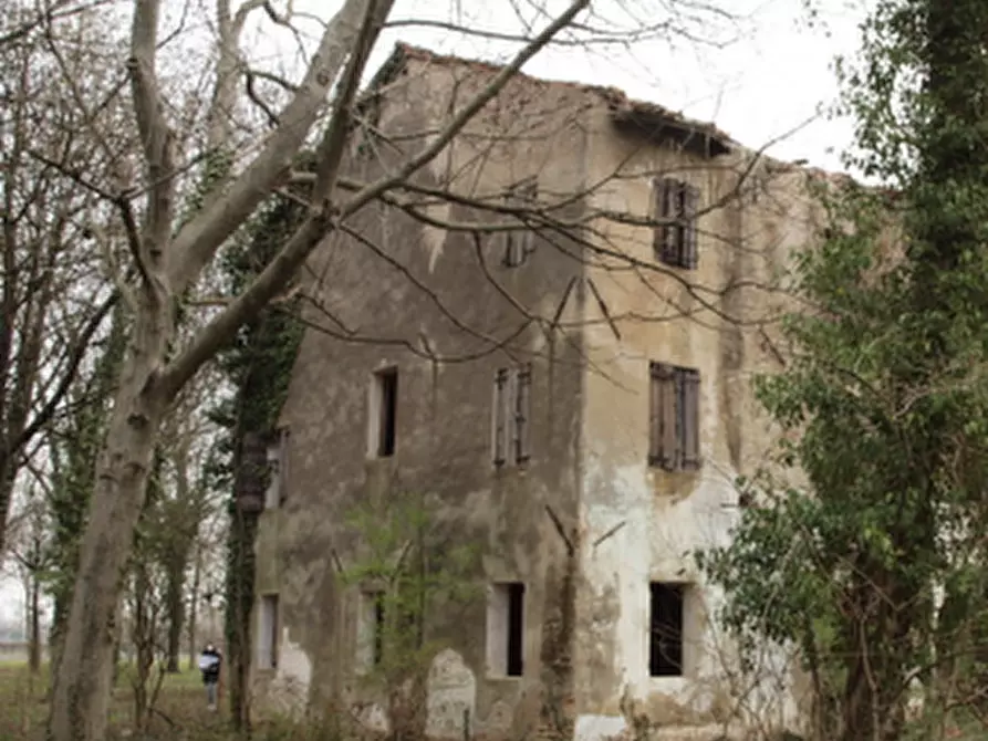 Immagine 15 di Rustico / casale in vendita  in Via comunale postumia di faè a Oderzo