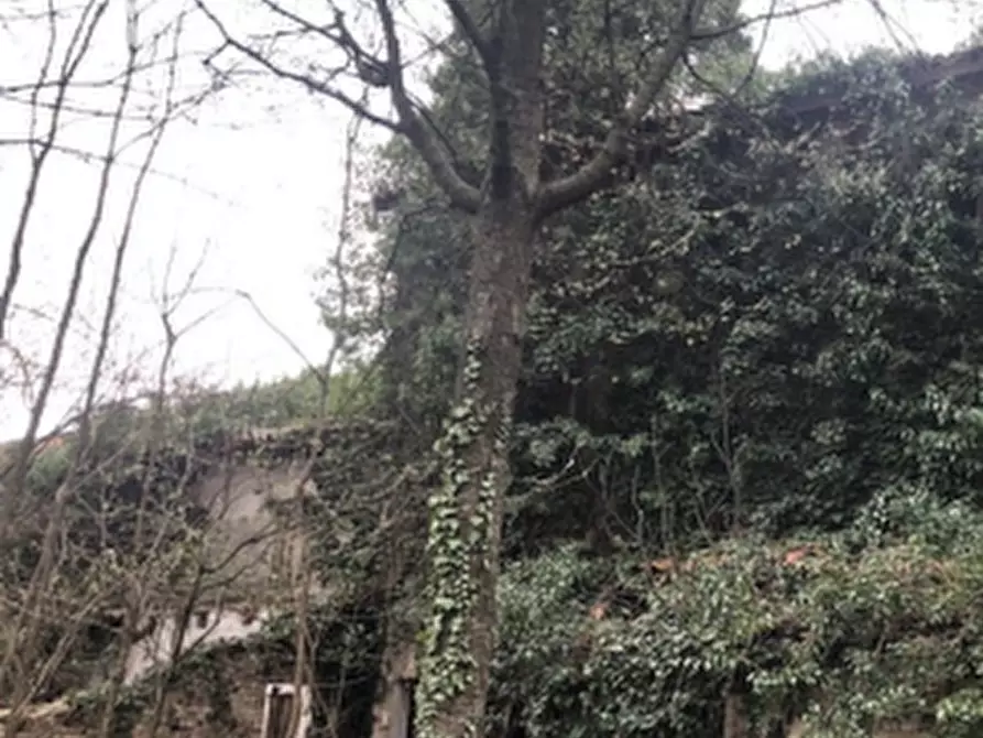 Immagine 17 di Rustico / casale in vendita  in Via comunale postumia di faè a Oderzo