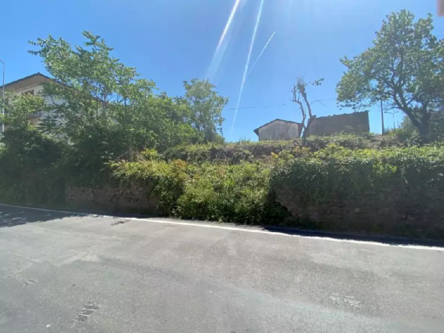 Immagine 1 di Terreno agricolo in vendita  in Via Vecchia Pisana a Lastra A Signa