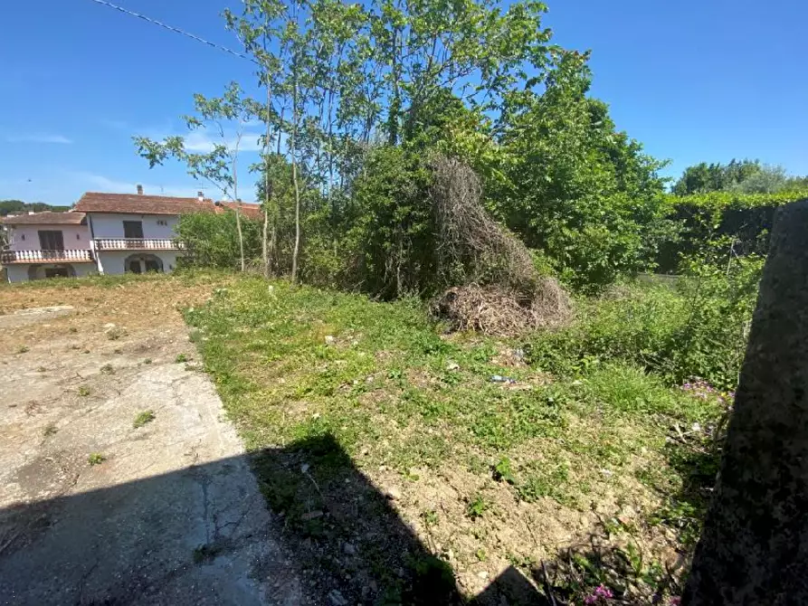 Immagine 3 di Terreno agricolo in vendita  in Via Vecchia Pisana a Lastra A Signa