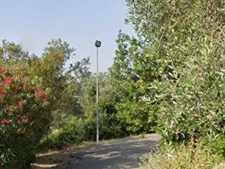 Immagine 2 di Negozio in vendita  in Via delle Catese a Sesto Fiorentino