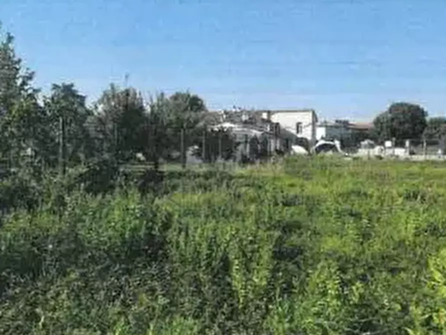 Immagine 3 di Terreno agricolo in vendita  in Via Cava  a Prato