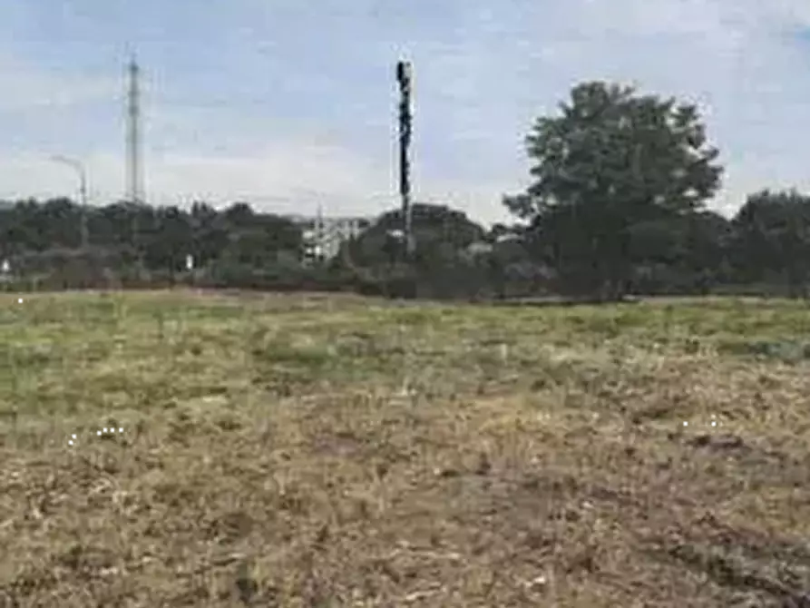 Immagine 5 di Terreno agricolo in vendita  in Via Cava  a Prato