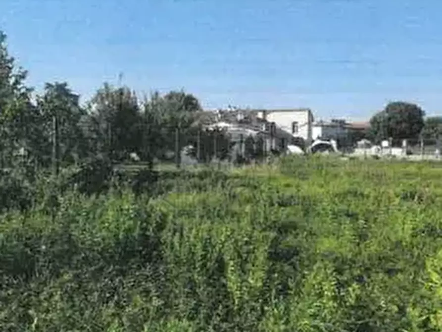 Immagine 6 di Terreno agricolo in vendita  in Via Cava  a Prato