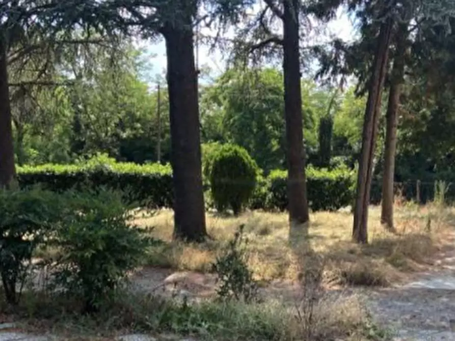 Immagine 5 di Hotel in vendita  in Via Naborre Campanini a Albinea