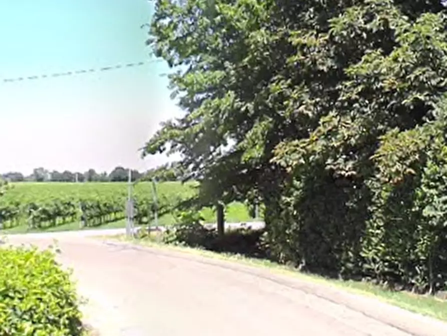 Immagine 8 di Magazzino in vendita  in Via Strada Valle a Novellara