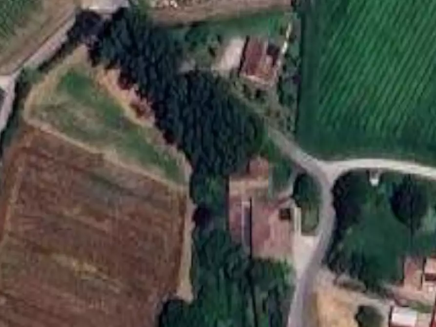 Immagine 11 di Magazzino in vendita  in Via Strada Valle a Novellara