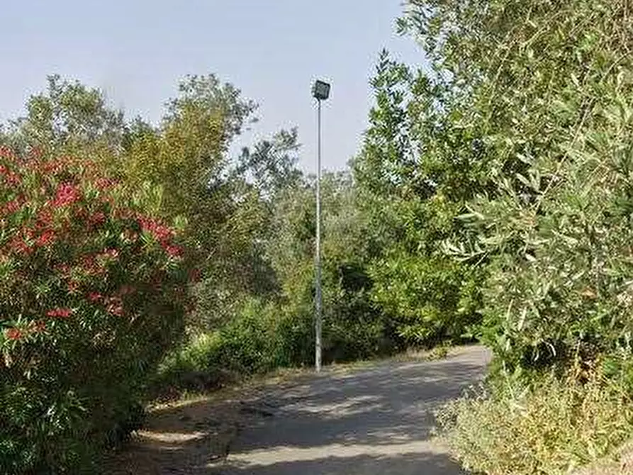 Immagine 4 di Porzione di casa in vendita  in Via delle Catese a Sesto Fiorentino