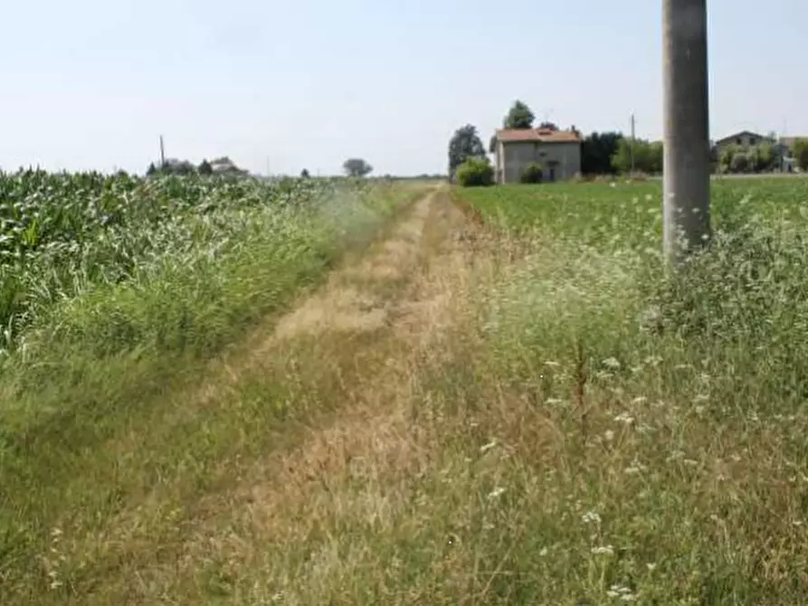 Immagine 3 di Casa indipendente in vendita  in Via Prampolini a Terre Del Reno
