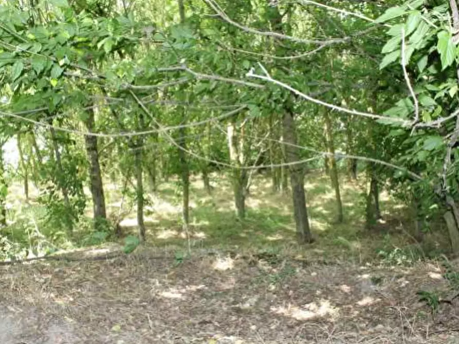 Immagine 4 di Casa indipendente in vendita  in Via Prampolini a Terre Del Reno