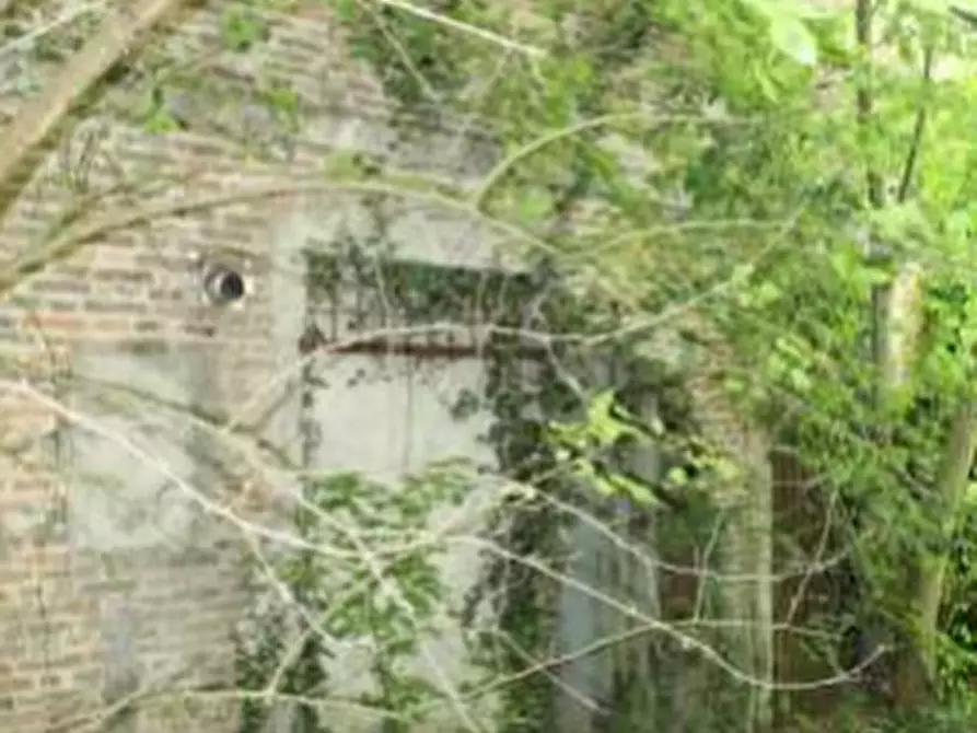 Immagine 6 di Casa indipendente in vendita  in Via Prampolini a Terre Del Reno