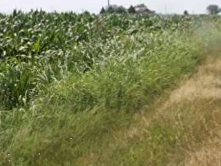Immagine 14 di Casa indipendente in vendita  in Via Prampolini a Terre Del Reno