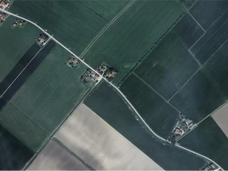 Immagine 3 di Negozio in vendita  in Via Fiorana a Argenta