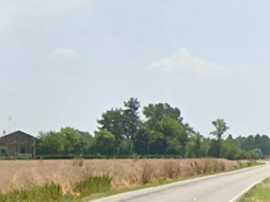 Immagine 11 di Negozio in vendita  in Via Fiorana a Argenta