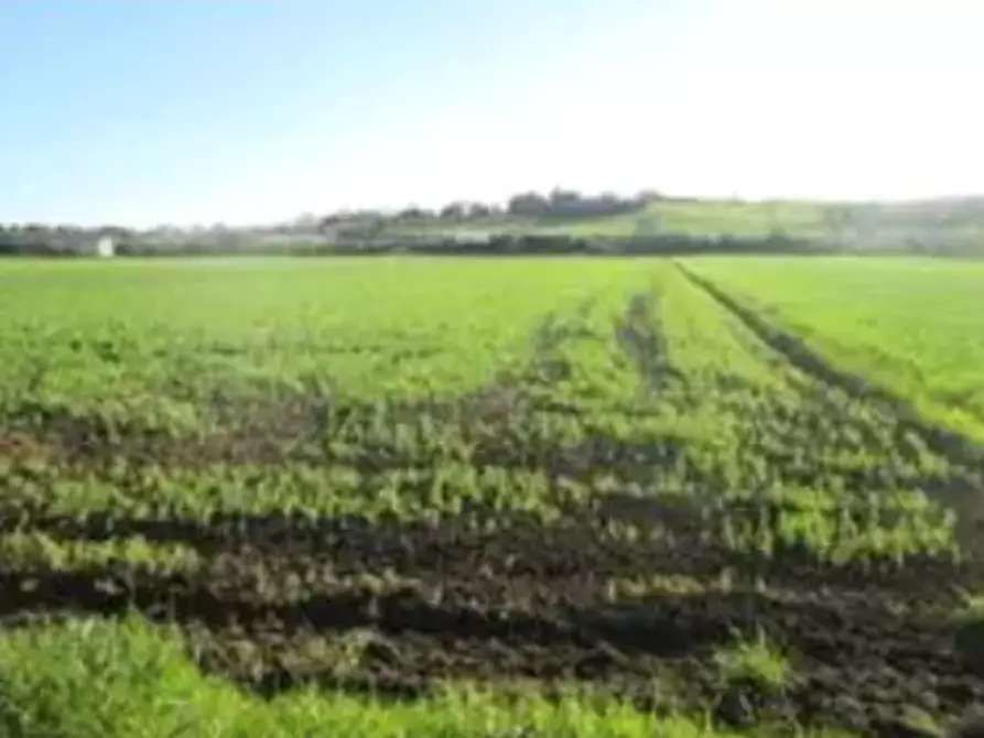 Immagine 1 di Terreno edificabile in vendita  in Viale Europa a Mondolfo