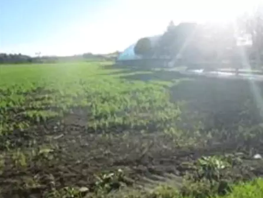 Immagine 2 di Terreno edificabile in vendita  in Viale Europa a Mondolfo