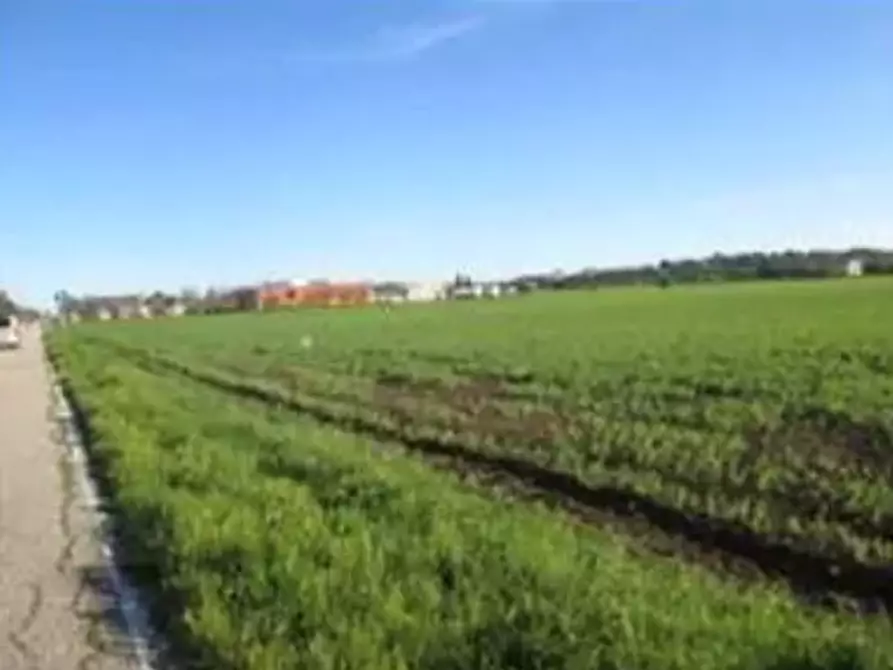 Immagine 3 di Terreno edificabile in vendita  in Viale Europa a Mondolfo