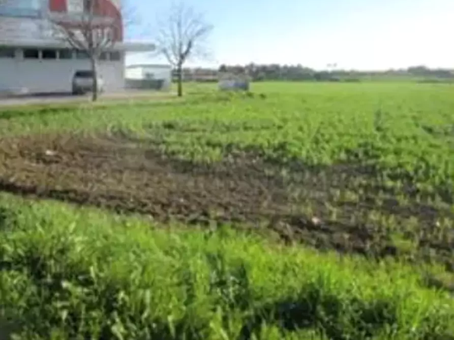 Immagine 4 di Terreno edificabile in vendita  in Viale Europa a Mondolfo