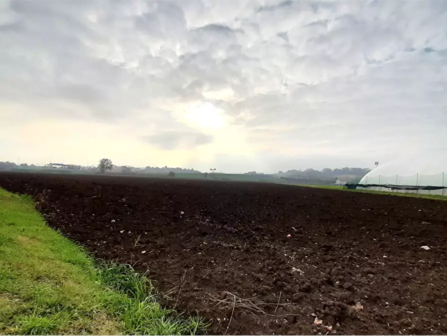 Immagine 6 di Terreno edificabile in vendita  in Viale Europa a Mondolfo