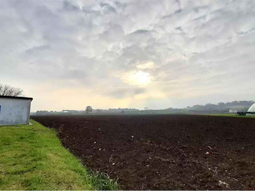Immagine 7 di Terreno edificabile in vendita  in Viale Europa a Mondolfo