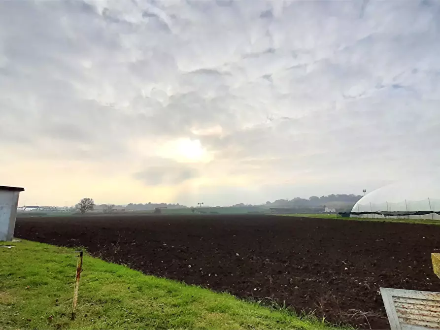 Immagine 8 di Terreno edificabile in vendita  in Viale Europa a Mondolfo