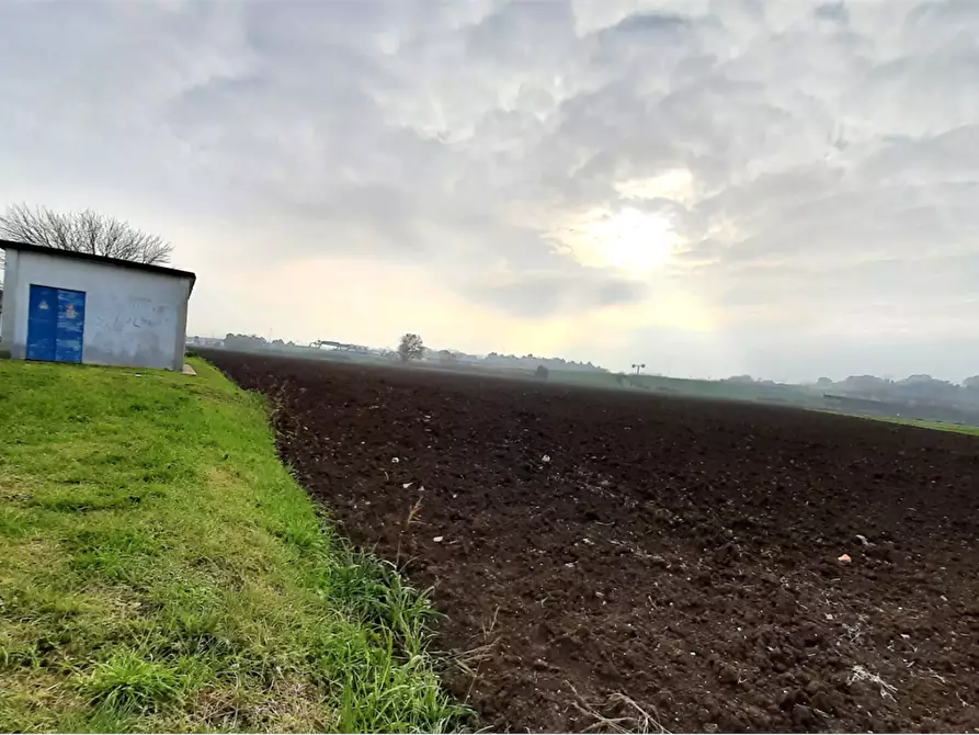 Immagine 9 di Terreno edificabile in vendita  in Viale Europa a Mondolfo
