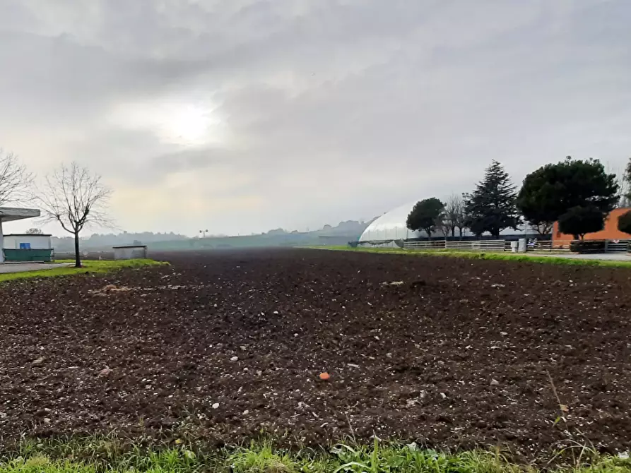 Immagine 10 di Terreno edificabile in vendita  in Viale Europa a Mondolfo