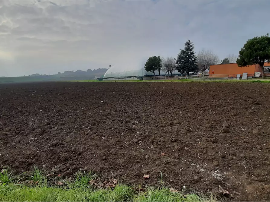 Immagine 11 di Terreno edificabile in vendita  in Viale Europa a Mondolfo
