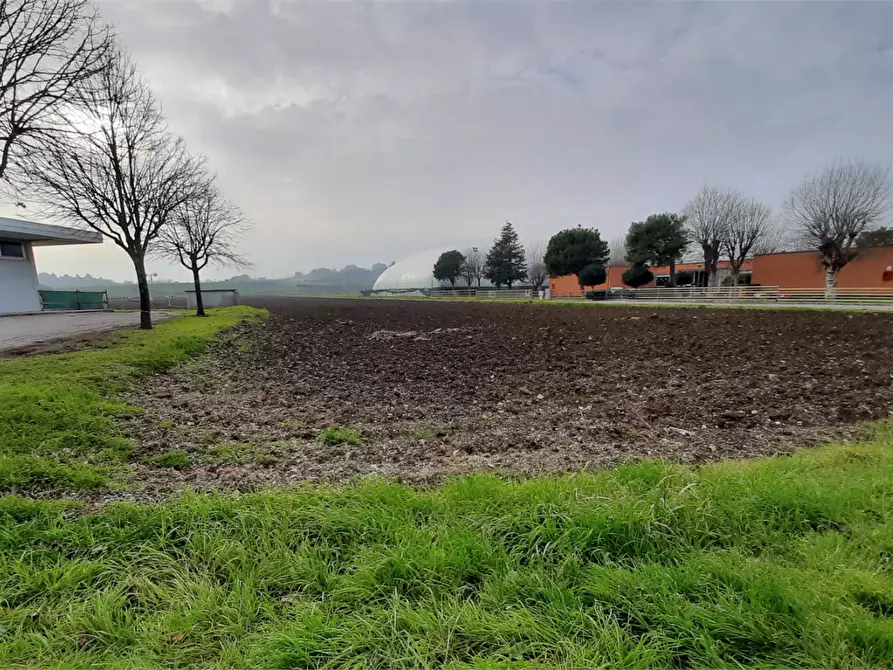 Immagine 13 di Terreno edificabile in vendita  in Viale Europa a Mondolfo