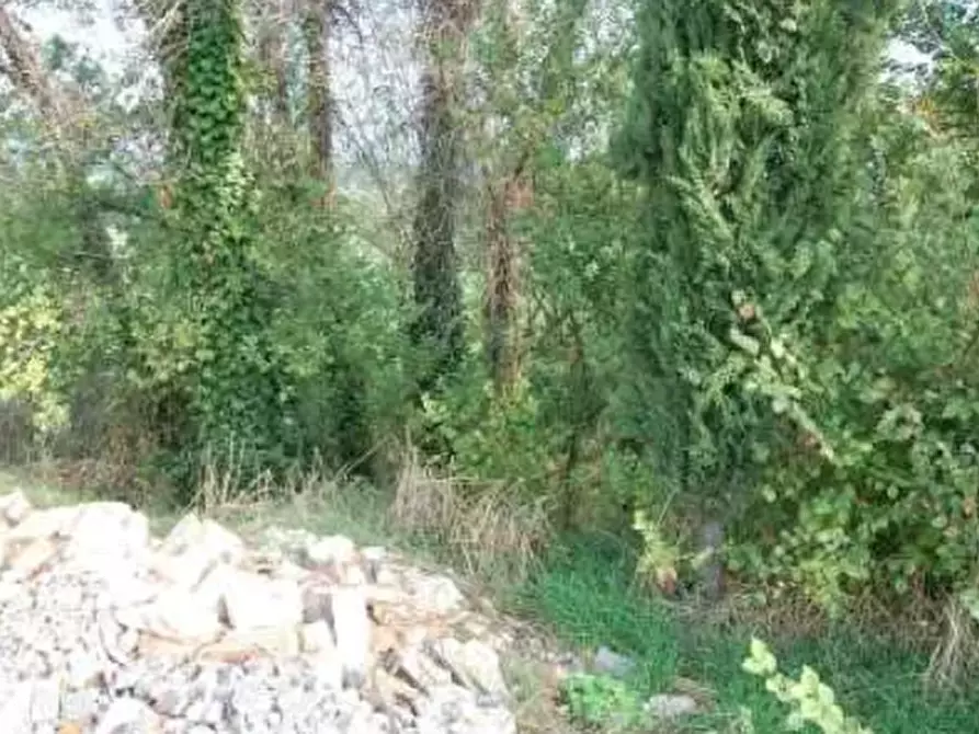 Immagine 3 di Terreno edificabile in vendita  in Via Cerbara a Terre Roveresche