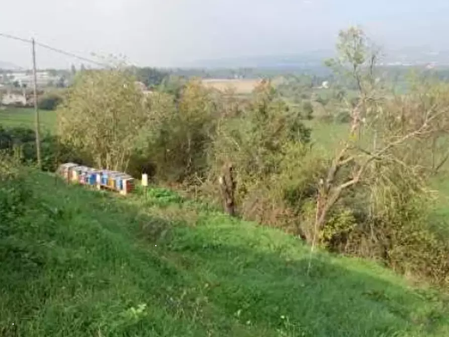 Immagine 4 di Terreno edificabile in vendita  in Via Cerbara a Terre Roveresche