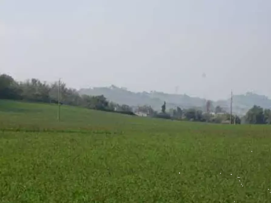 Immagine 1 di Terreno edificabile in vendita  in Via Cerbara a Terre Roveresche