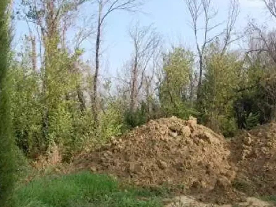 Immagine 6 di Terreno edificabile in vendita  in Via Cerbara a Terre Roveresche