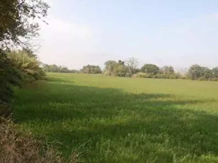 Immagine 7 di Terreno edificabile in vendita  in Via Cerbara a Terre Roveresche