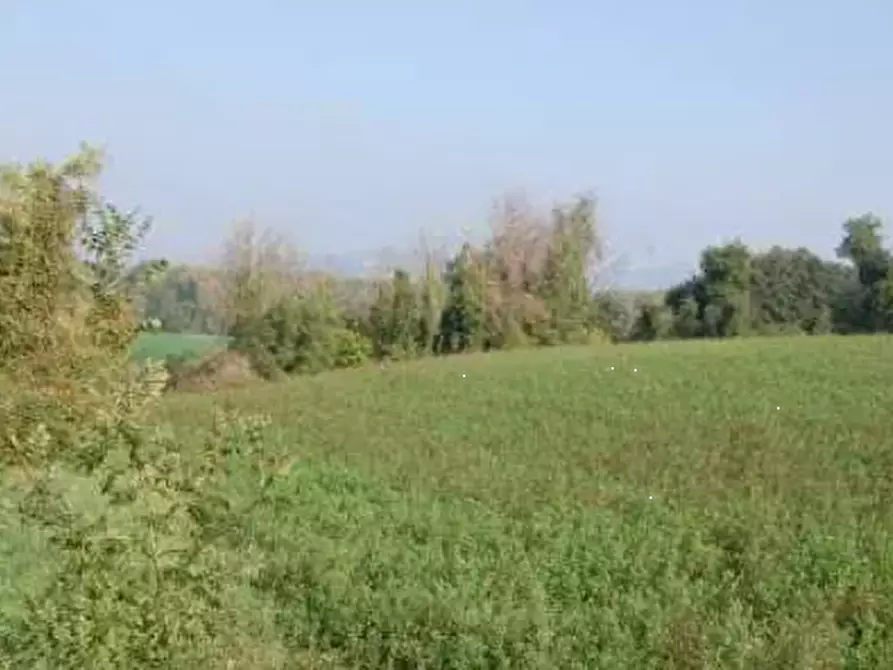 Immagine 11 di Terreno edificabile in vendita  in Via Cerbara a Terre Roveresche