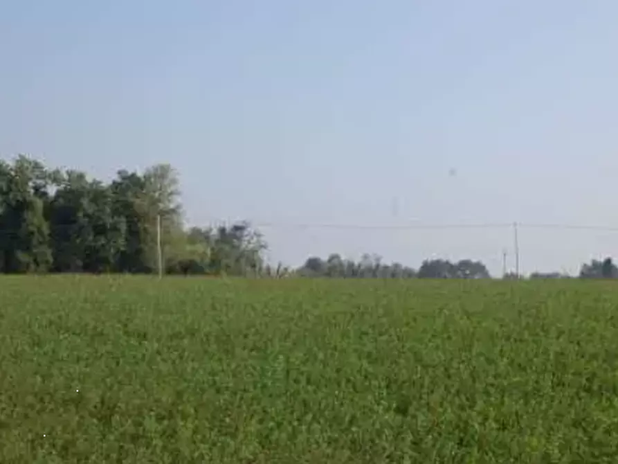 Immagine 13 di Terreno edificabile in vendita  in Via Cerbara a Terre Roveresche