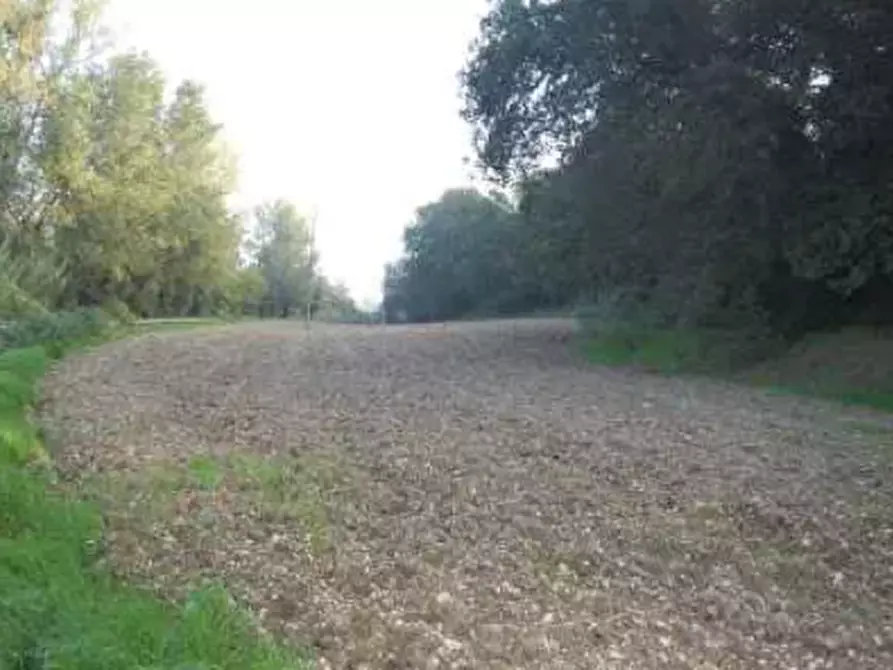 Immagine 16 di Terreno edificabile in vendita  in Via Cerbara a Terre Roveresche