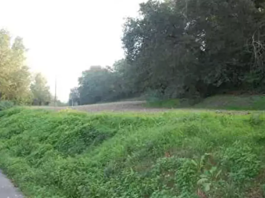 Immagine 17 di Terreno edificabile in vendita  in Via Cerbara a Terre Roveresche