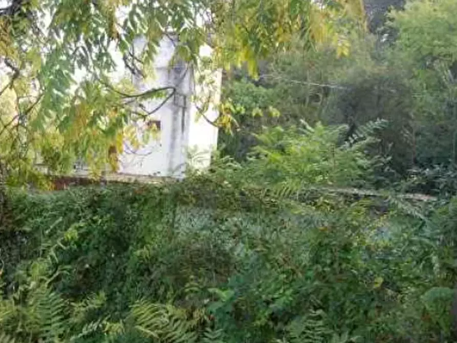 Immagine 18 di Terreno edificabile in vendita  in Via Cerbara a Terre Roveresche